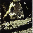 Atemporali topografie n. 4, 2010